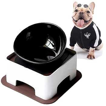 小物 CHALLENGER FTC CHALLENGER DOG BOWL CHALLENGER FTC CHALLENGER DOG BOWL